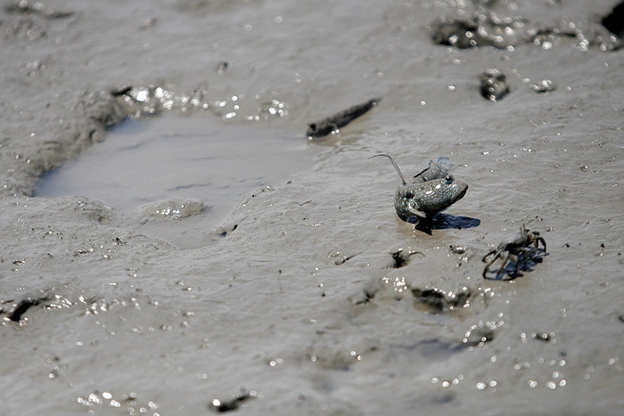 20완전히 쫒아냄.jpg