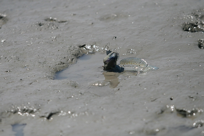 14 온몸으로 집을 헤집음.jpg