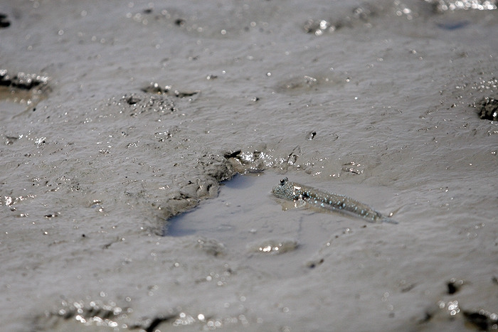 13 그러나 이집은 내집 한참있다가 다시 집으로 돌진.jpg