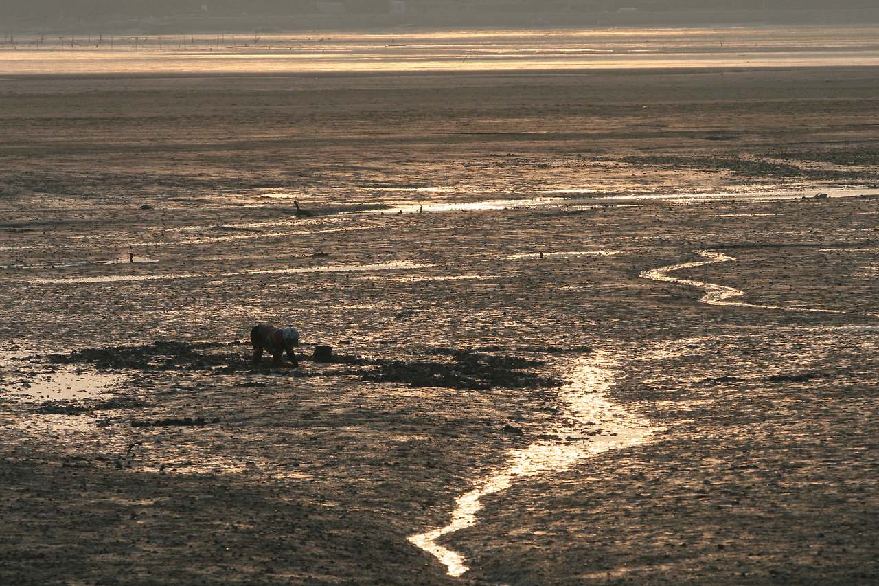 사본 -IMG_9408.jpg