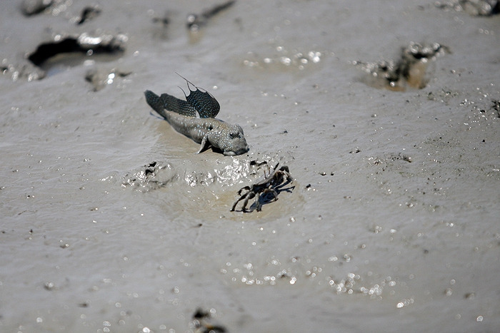 2이렇게 집밖에나와 누가못들어오게경계를 서고 있는데.jpg