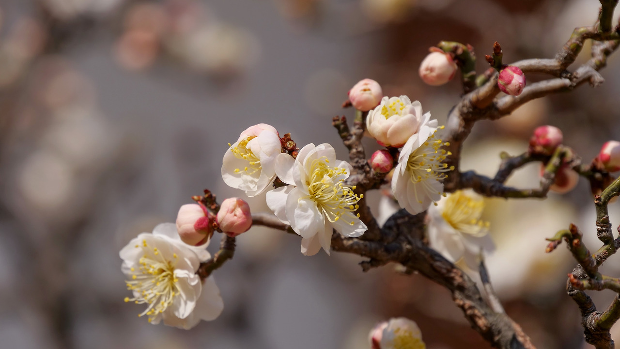 3ce43048d5c911f6867277471ea2e7c60f78c1f9 (1).jpg