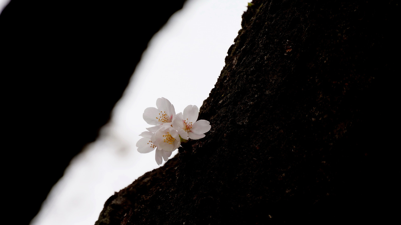 그러거나 말거나_박주영_디카시.jpg