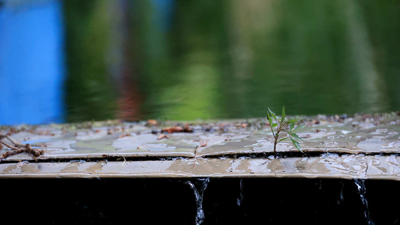 디카문학-디카시-박주영-어둠을 딛고.jpg