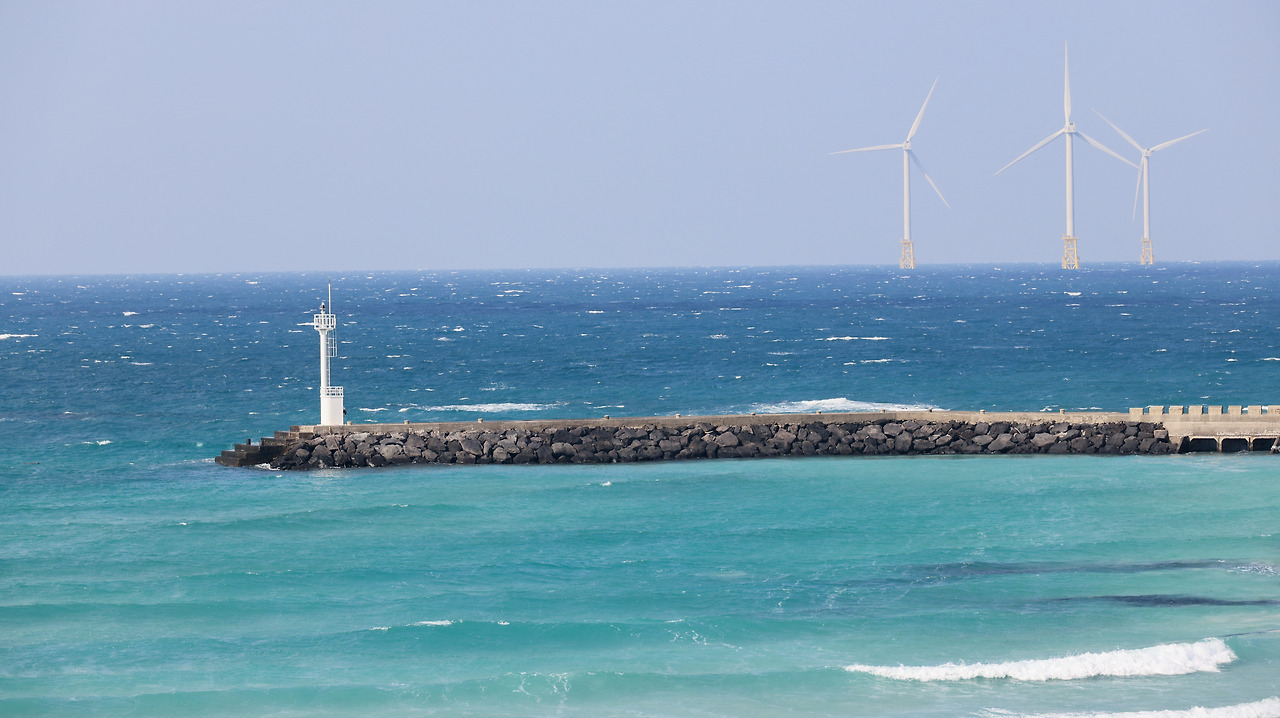 2025_제주_박주영 (2).jpg