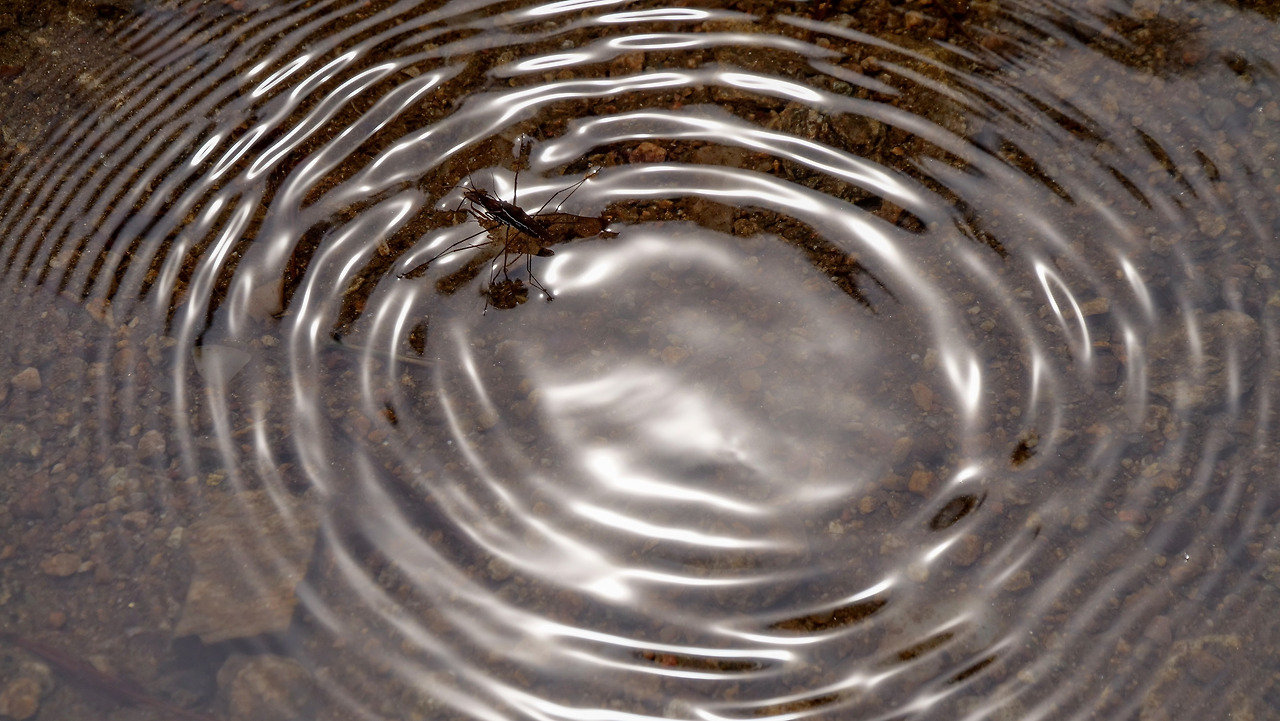 20210523-P1975458 (1).jpg