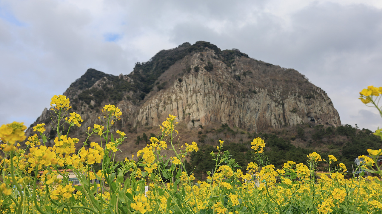 제주_ 산방산_박주영.jpg