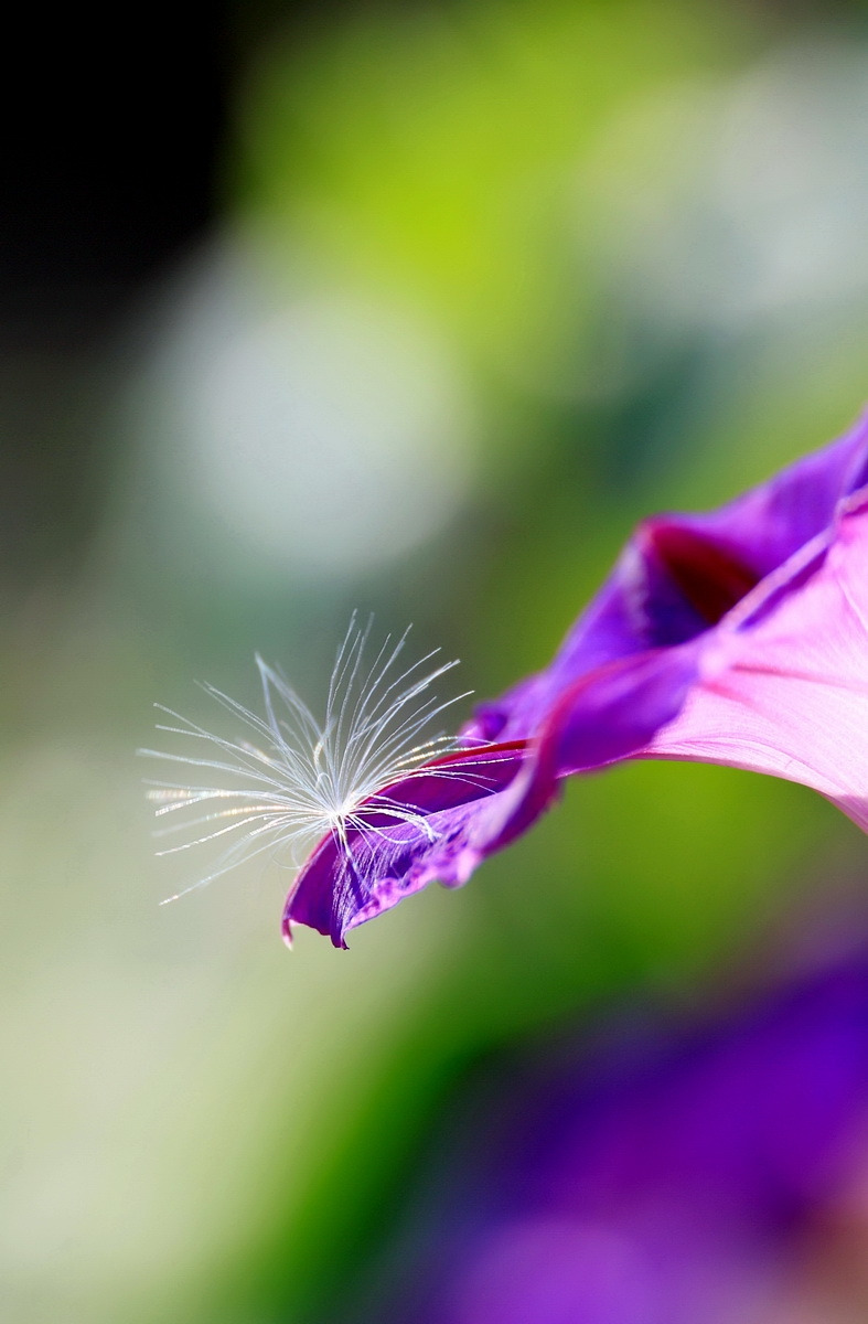 나에게로 온 너-박주영.jpg