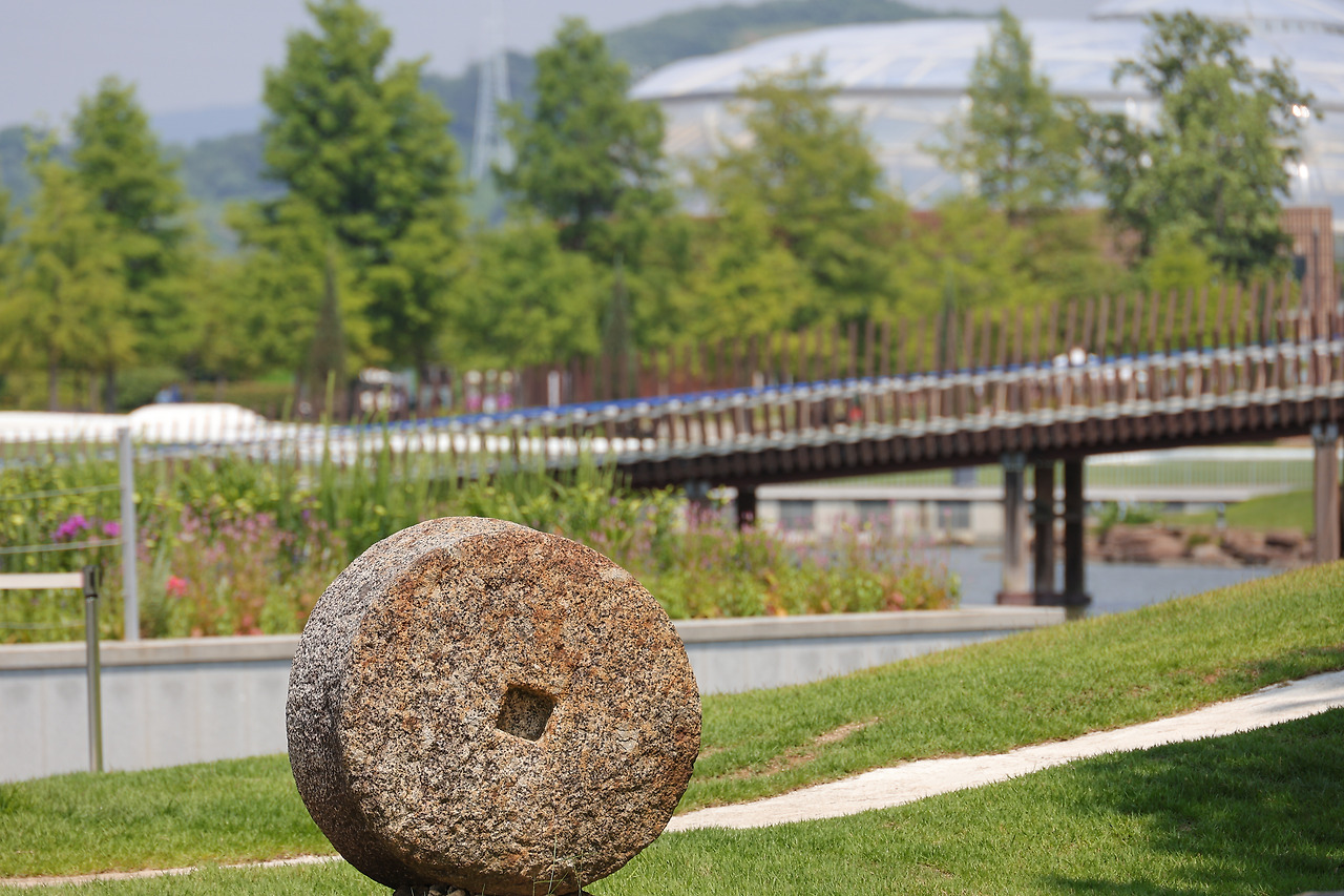 닮아 가는 삶_박주영 _디카시.jpg