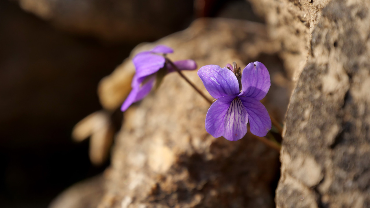 f7b5a2413ada5bc57e9baf8975720665ea92a102 (1).jpg