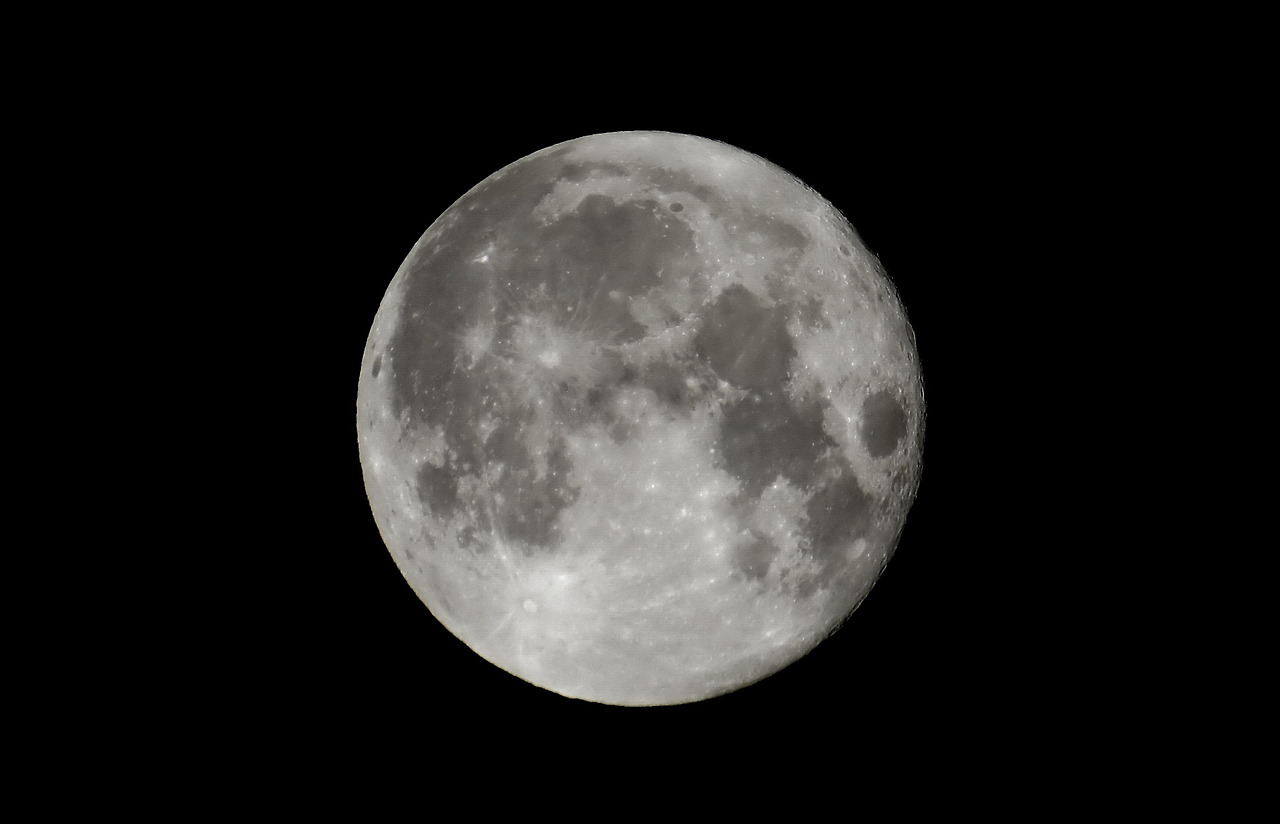 둥근 것은 모두-박주영.jpg