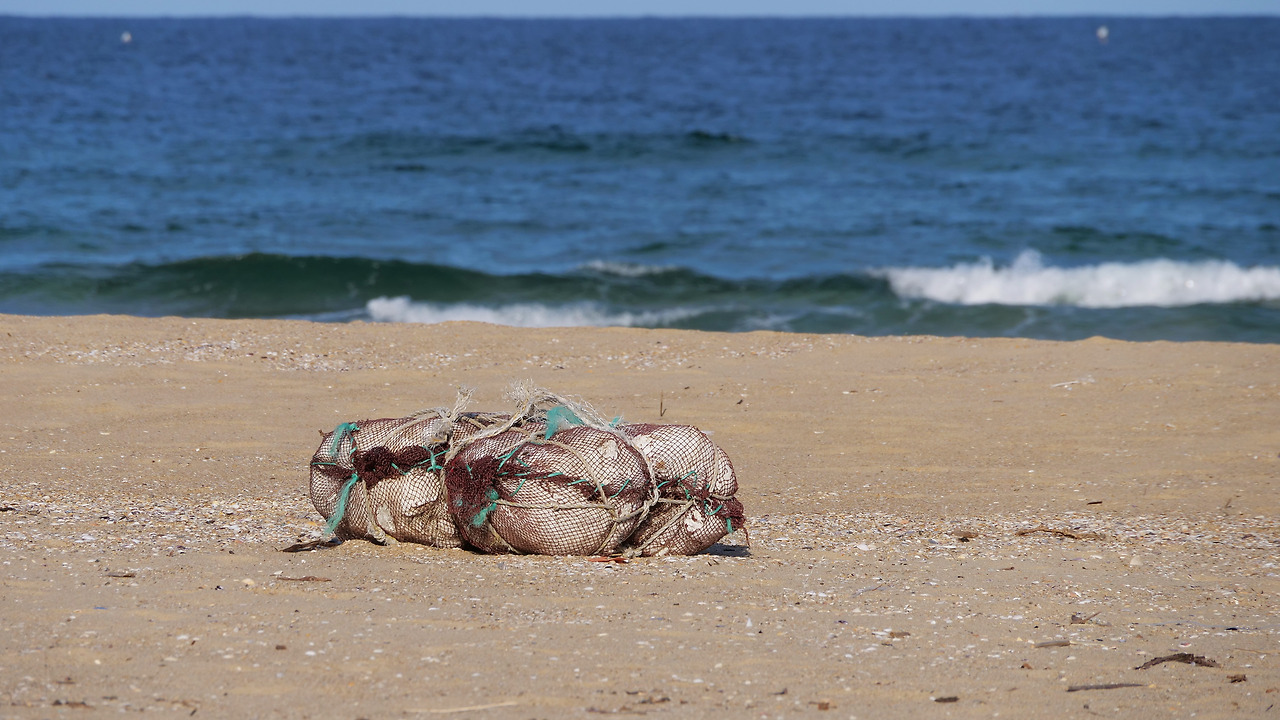 자화상_박주영 _디카시.jpg