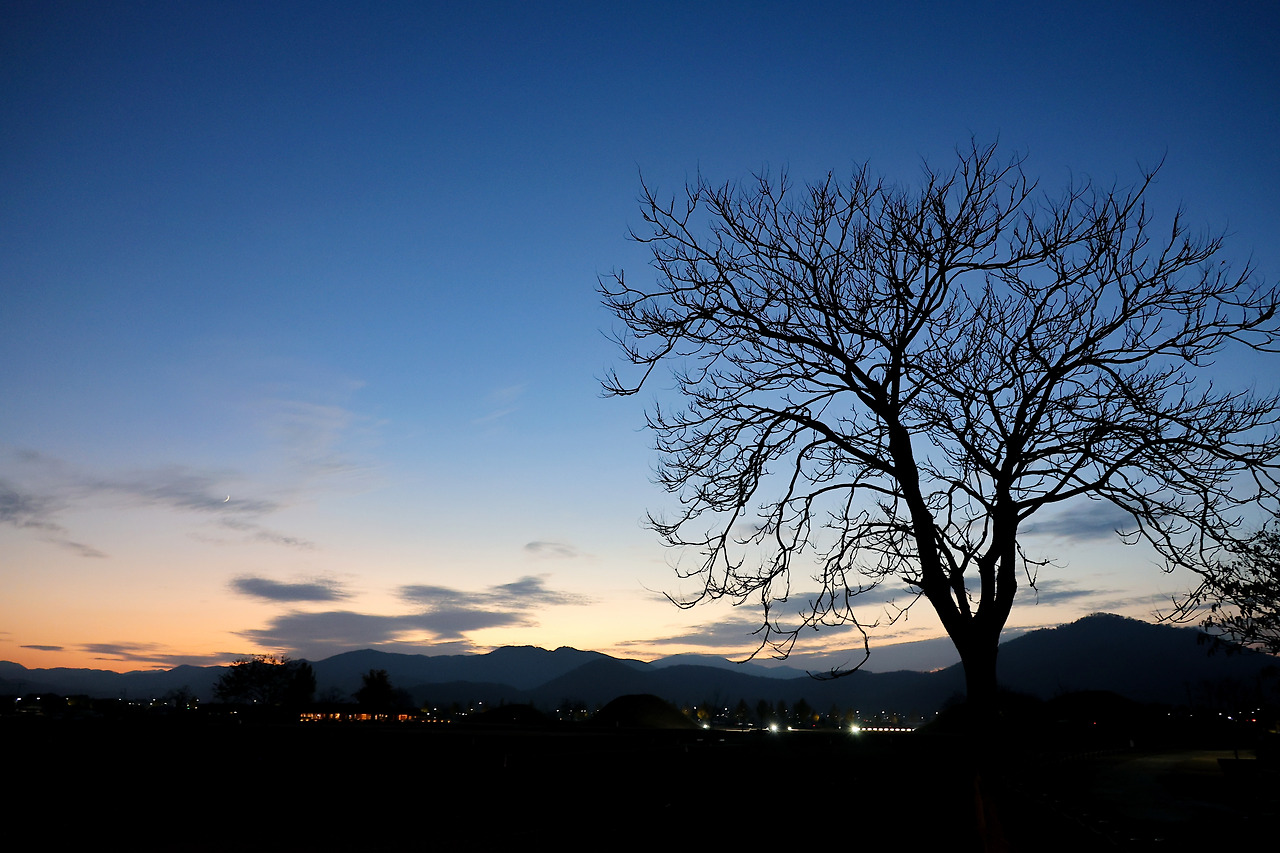 517cbeb745f6c21f776fc85b95c4176b8361e9d3 (2).jpg