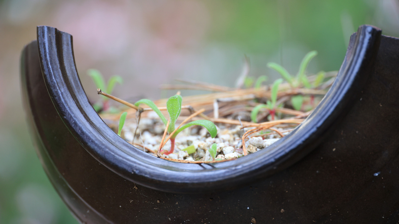 초록별의 착륙2_박주영.jpg