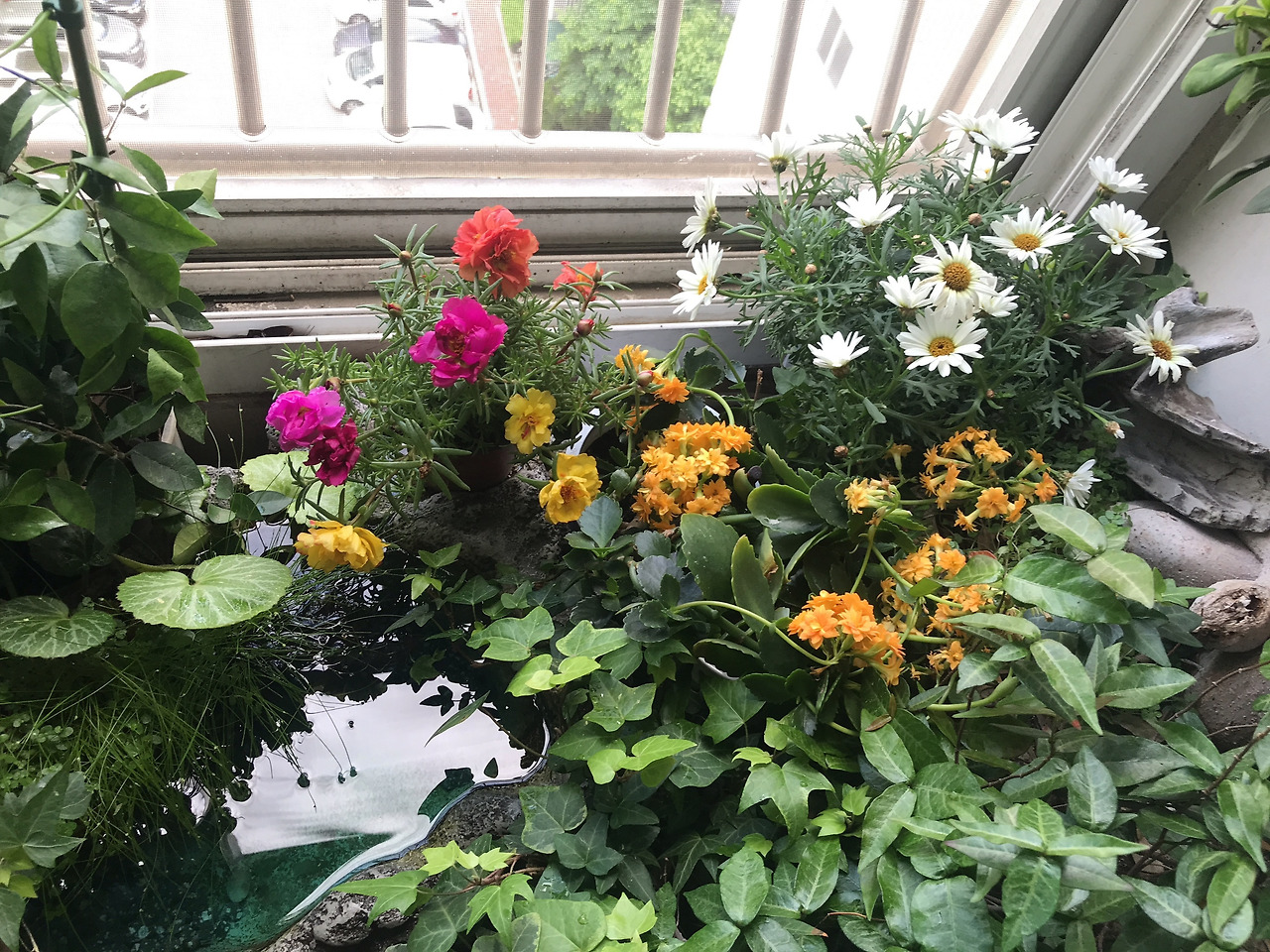 Evernote Snapshot 20200527 132151.jpg