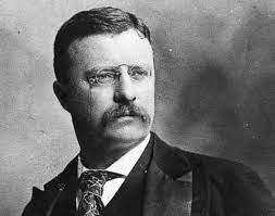 테디 루스벨트.jpg