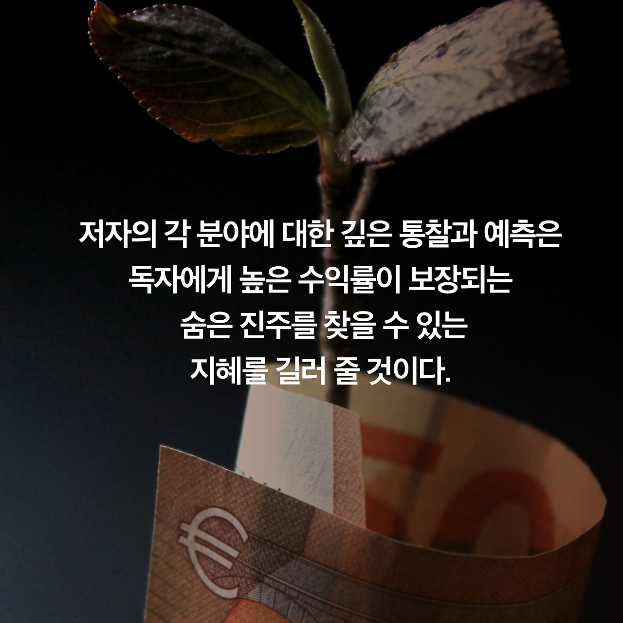 투자 공부_카드뉴스5.jpg