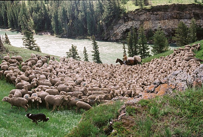 movie_image (81).jpg