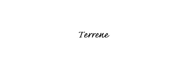 terrene4.jpg