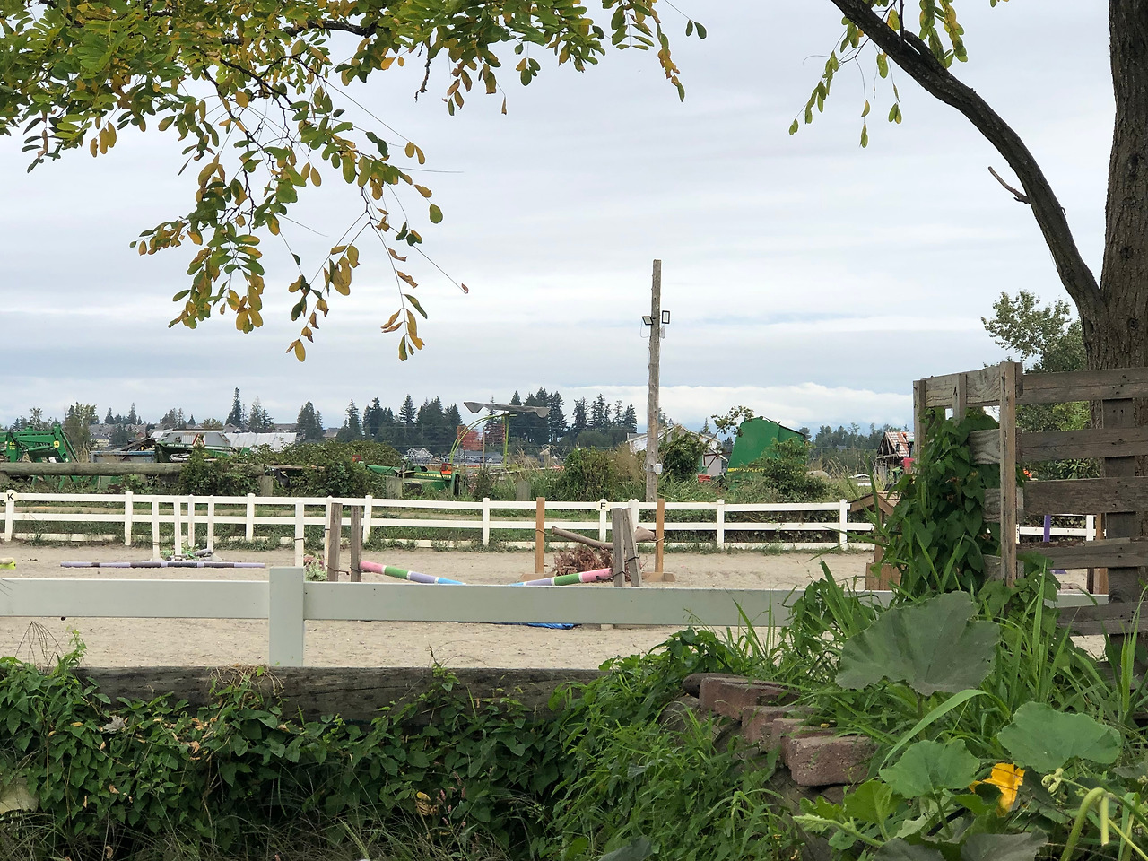 IMG_3349 복사본.jpg