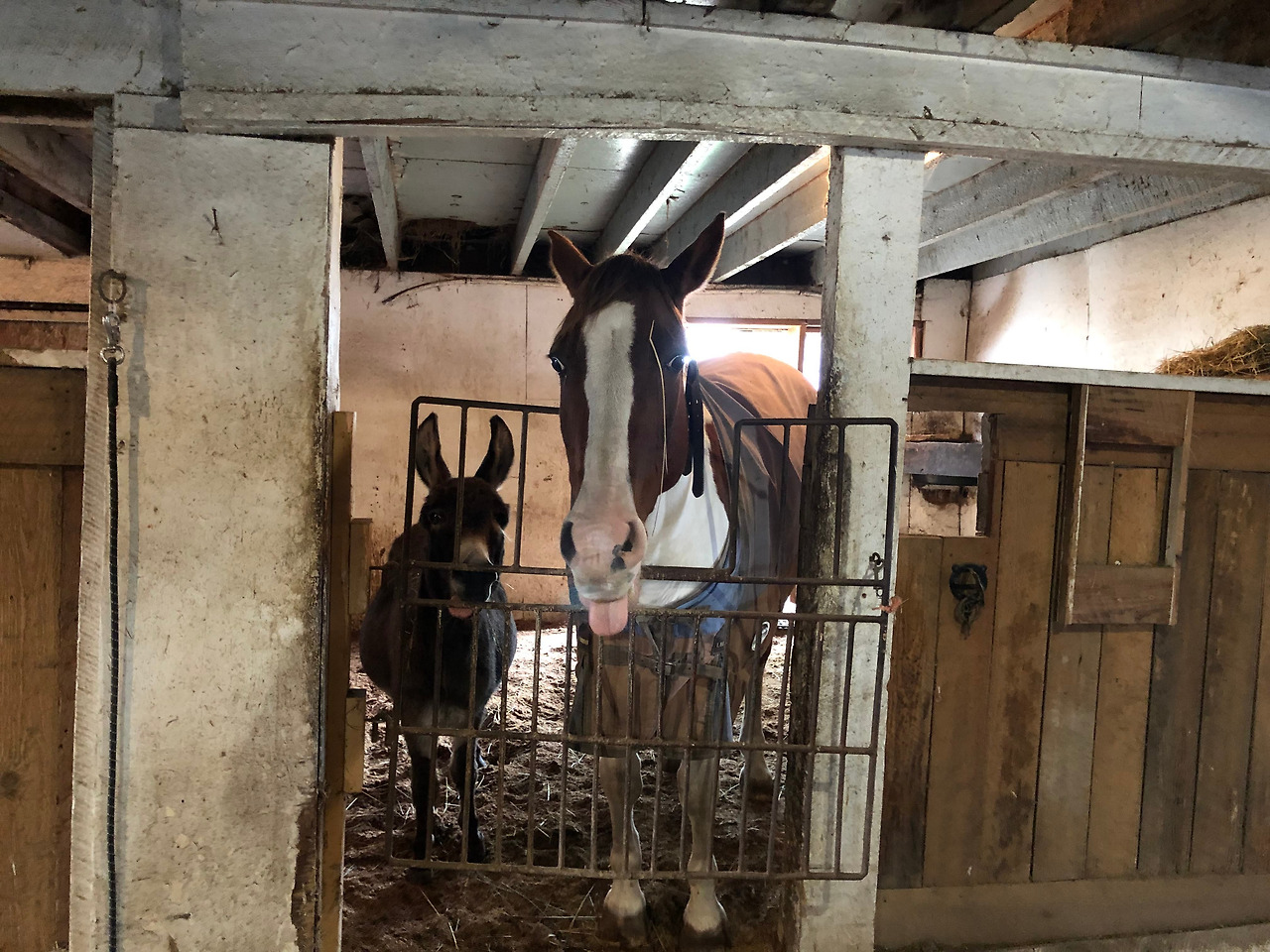 IMG_3534 복사본.jpg