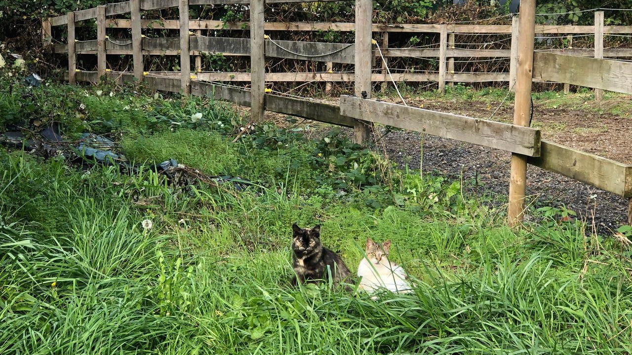 IMG_3545 복사본.jpg