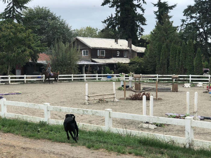 IMG_3352 복사본.jpg