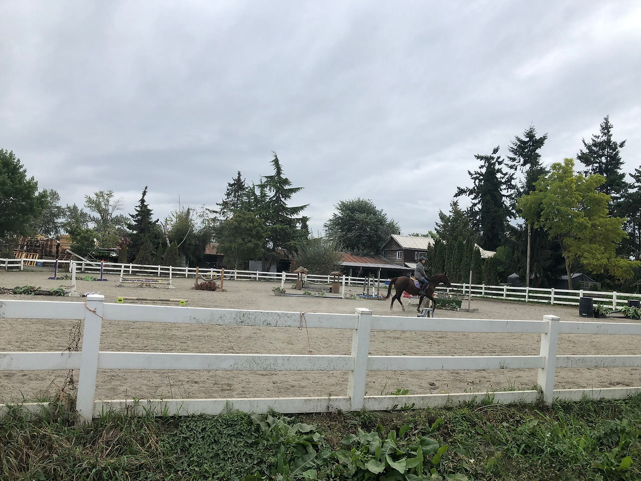 IMG_3351 복사본.jpg