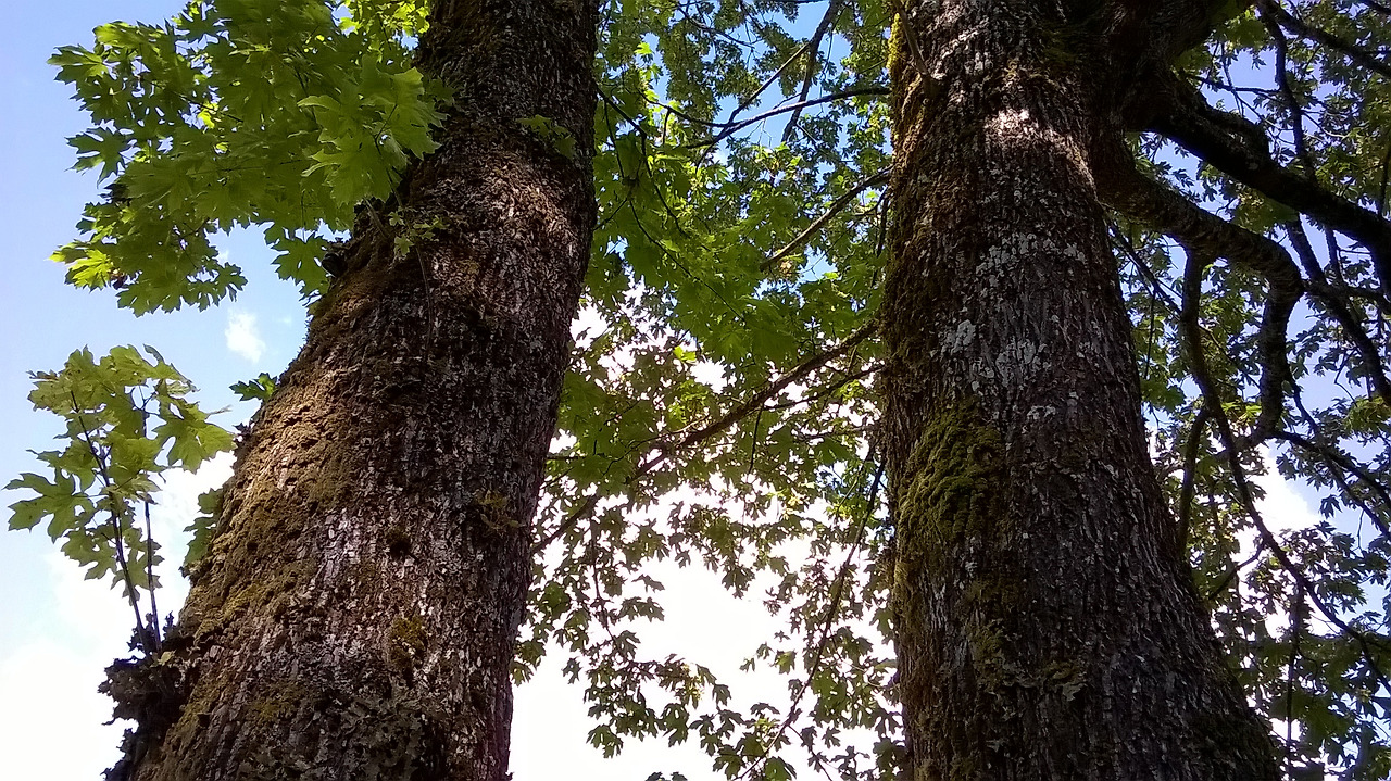 홀로 서기 말고 2.jpg