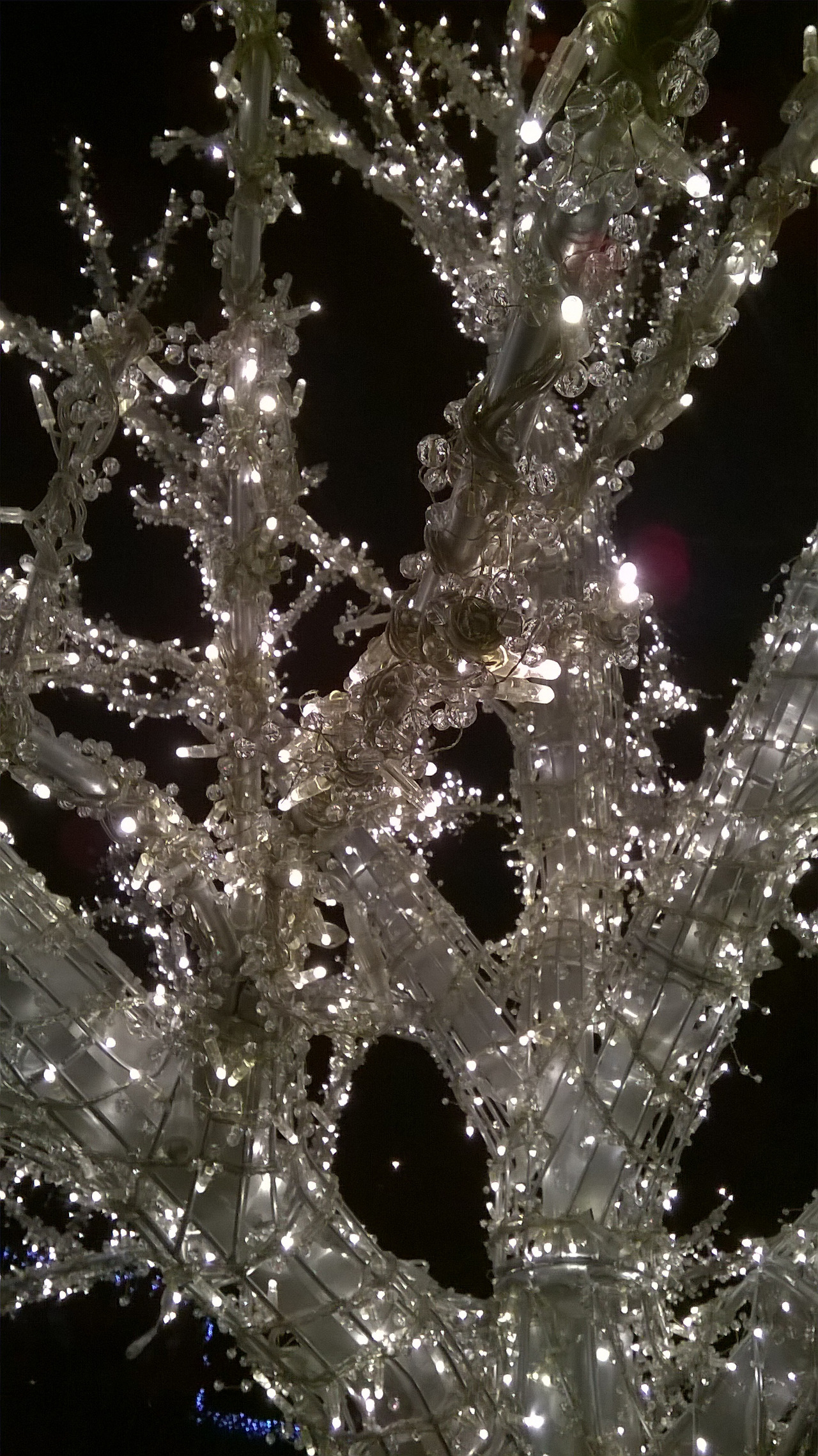 나 돌아갈래 1.jpg