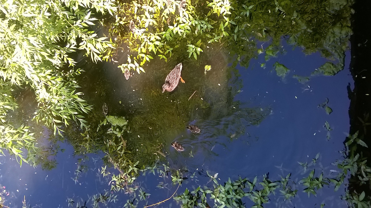 누가 나를 넣어줄까 1.jpg