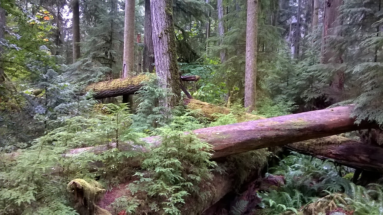 길 위에서 길을 보다 2.jpg