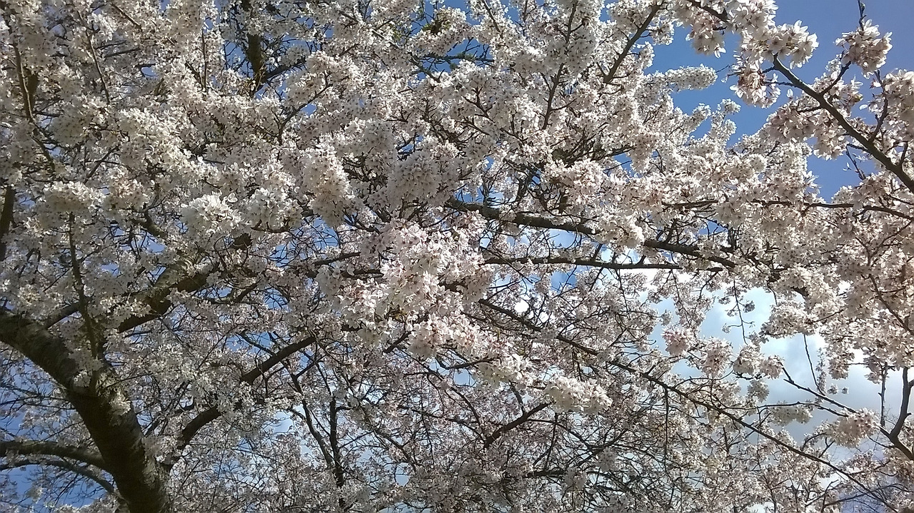 그걸 또 하라구요 2.jpg