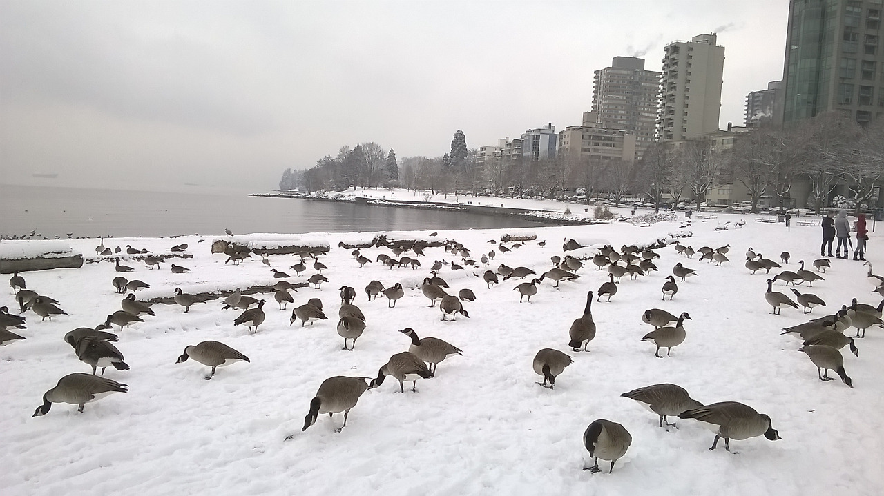 새로운 가족의 탄생.jpg
