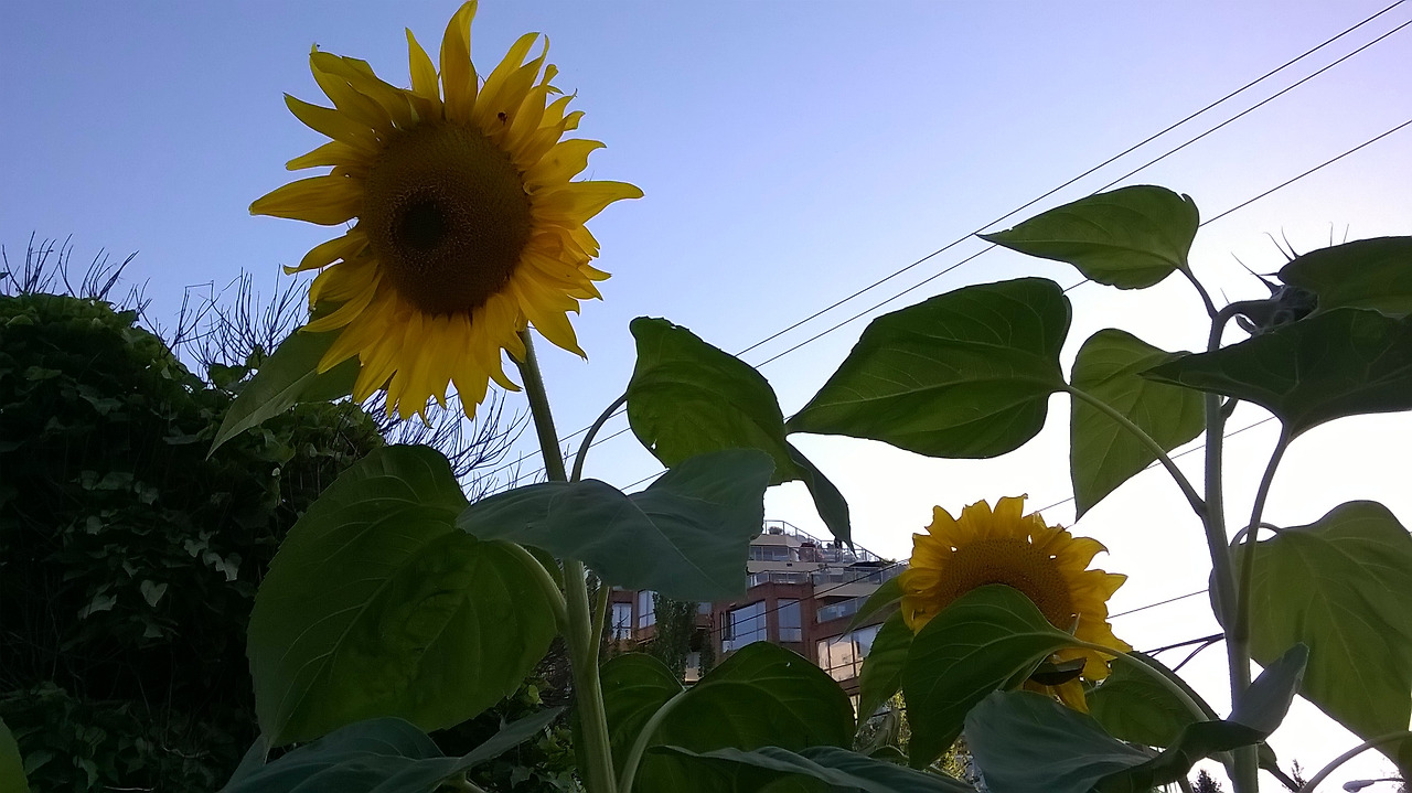 용서가 필요해 1.jpg