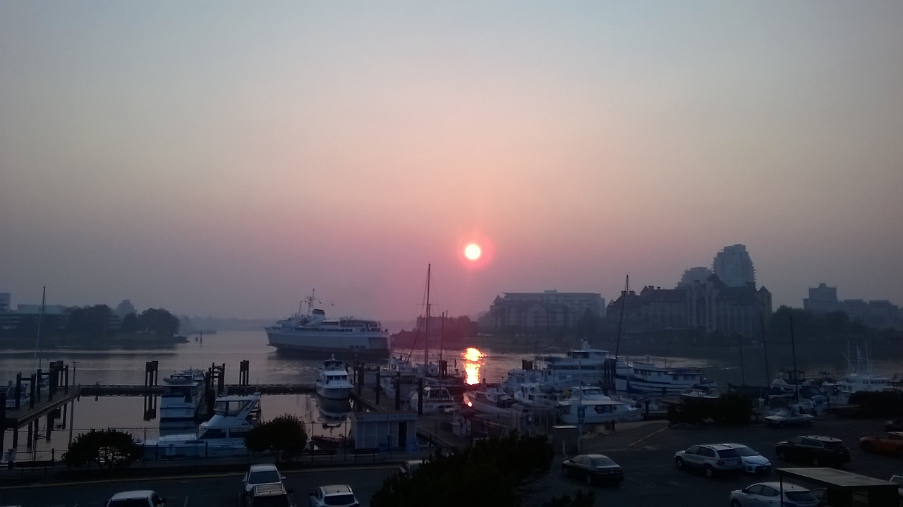 임이여 나를 떠나지 마오 3.jpg