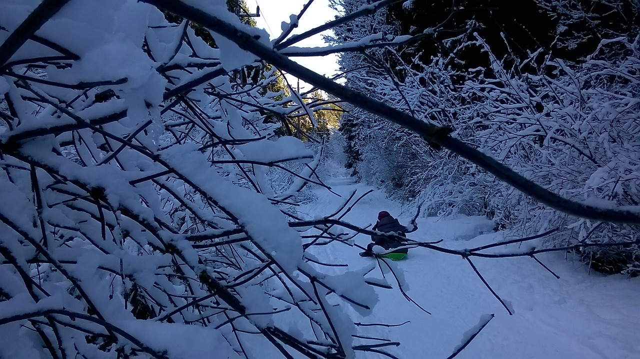 이제 산에서 내려가라 1.jpg