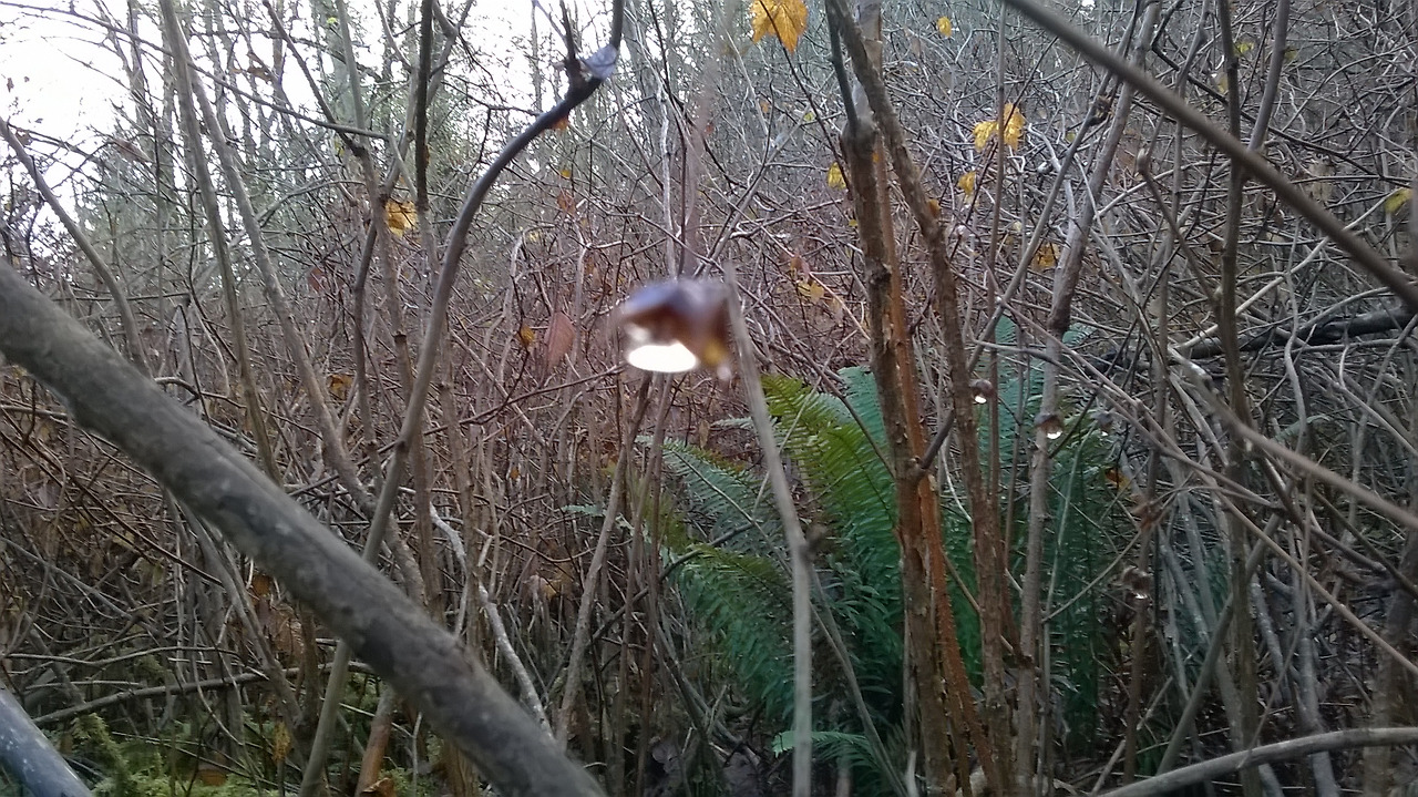 심판에 앞서 용서는 있다 1.jpg