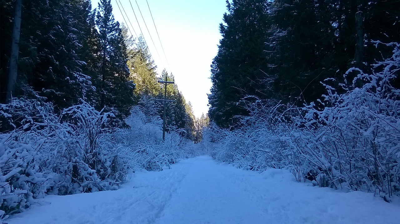 길 위에 선 요한 1.jpg