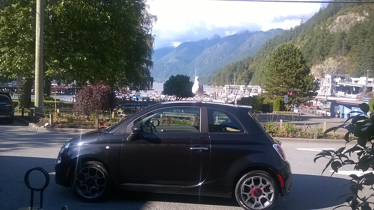 홀로 서기 말고 1.jpg