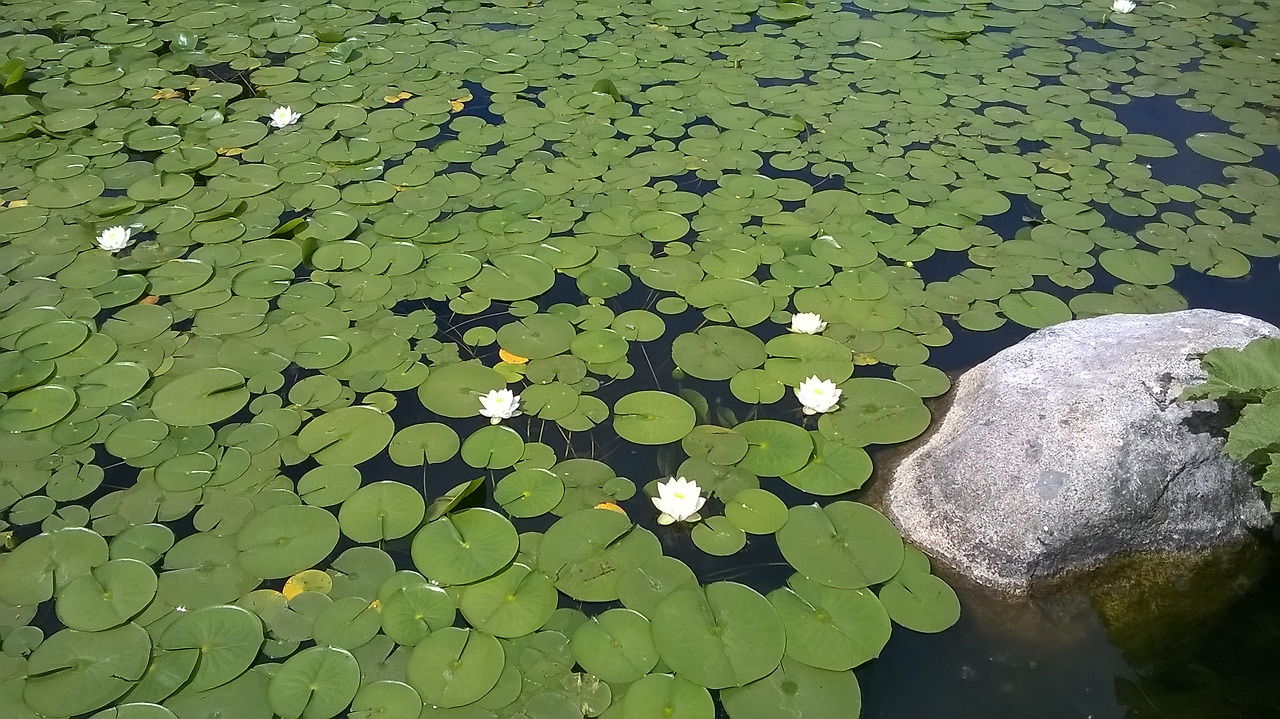 누가 나를 넣어줄까 3.jpg