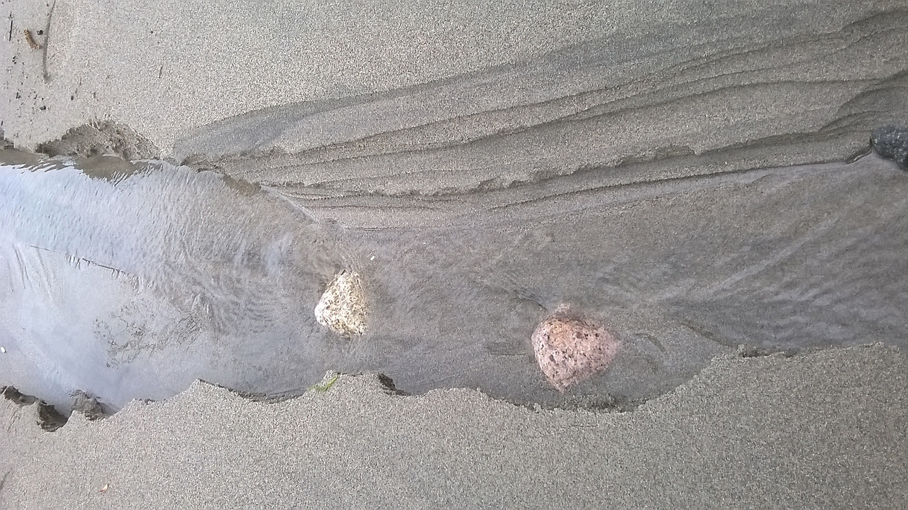 낙타의 물냄새 3.jpg