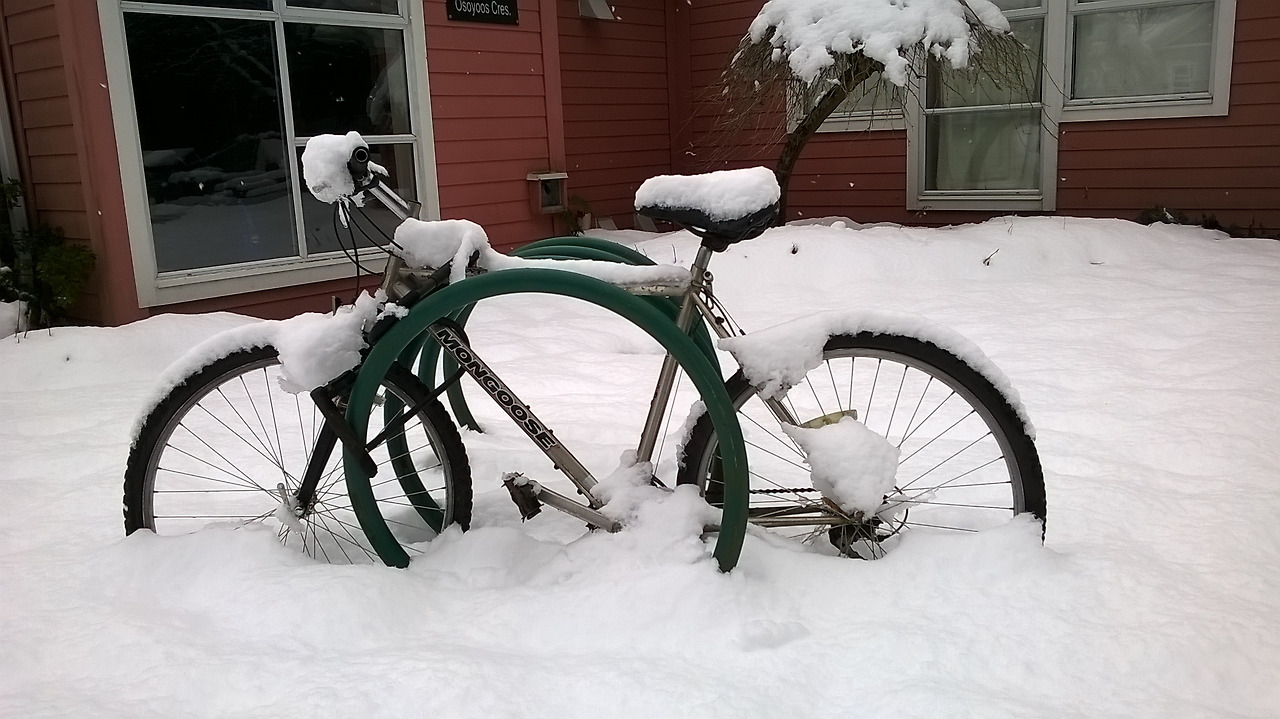 눈 자전거.jpg