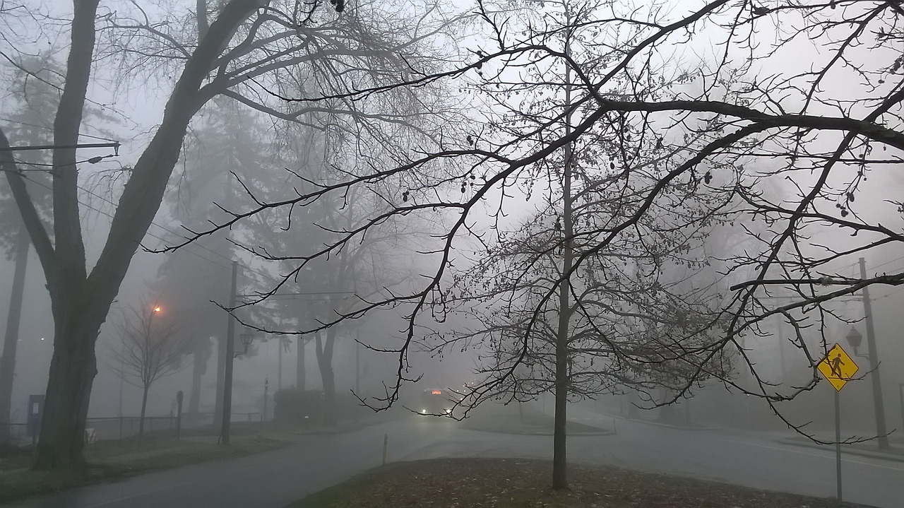 뭐가 보이나 1.jpg