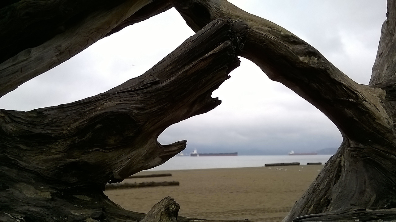 바람은 왜 늘 2.jpg