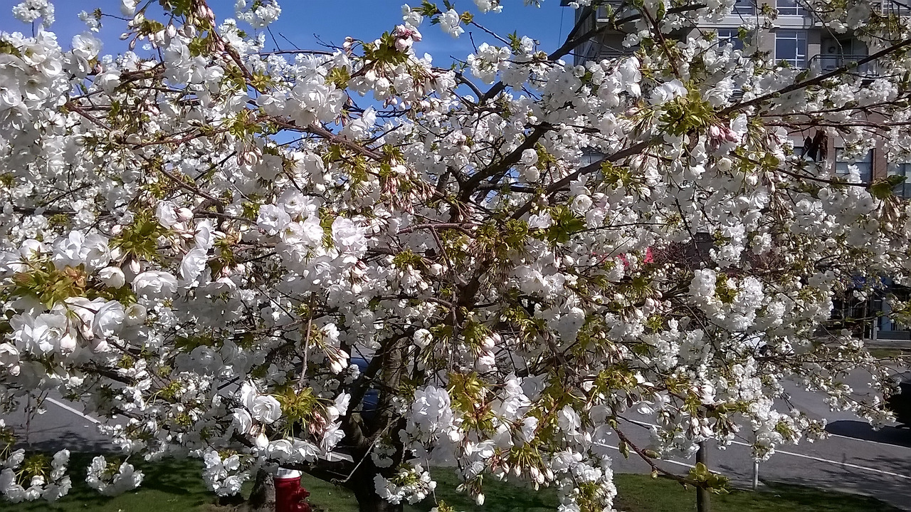 무슨 영광을 보겠다고 1.jpg