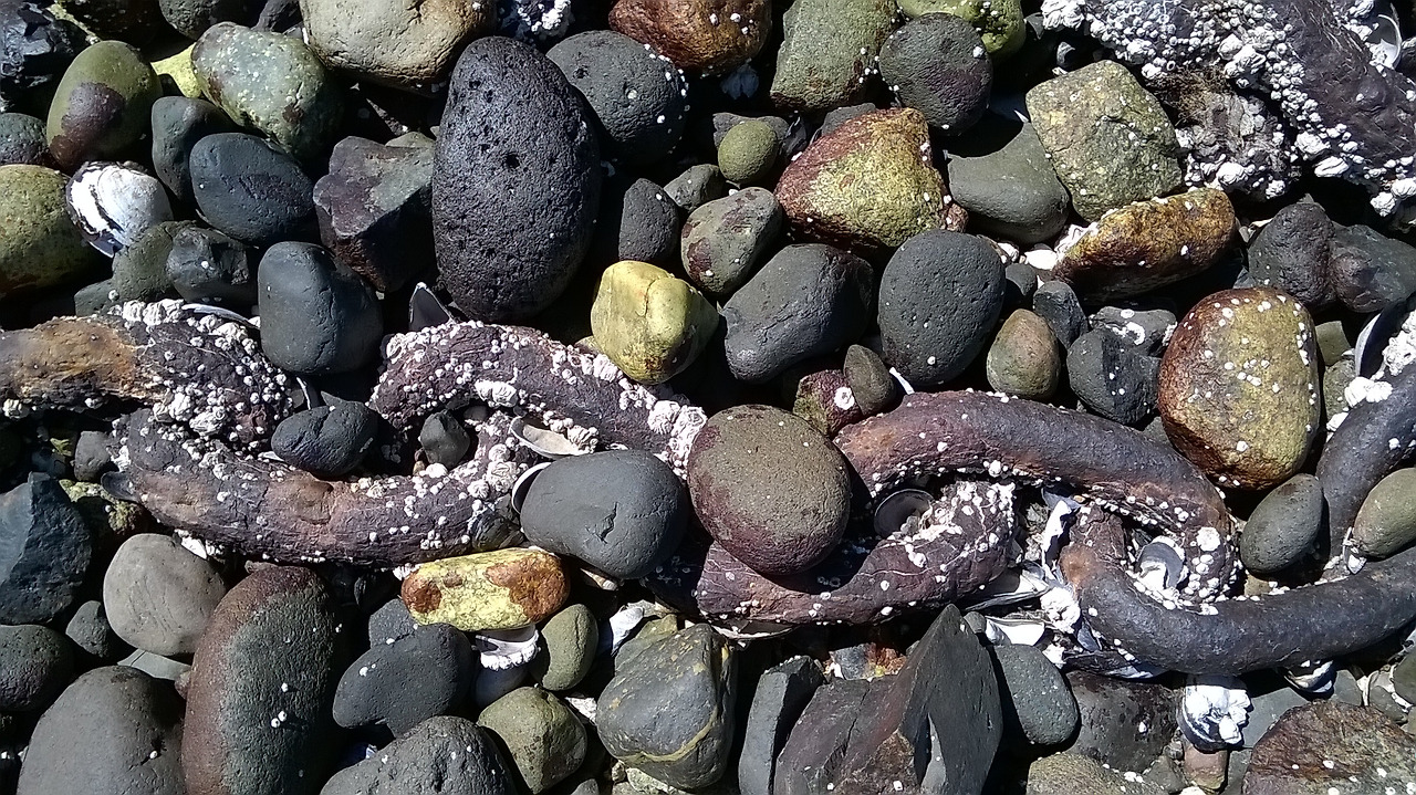 결론, 결말만 산다 1.jpg