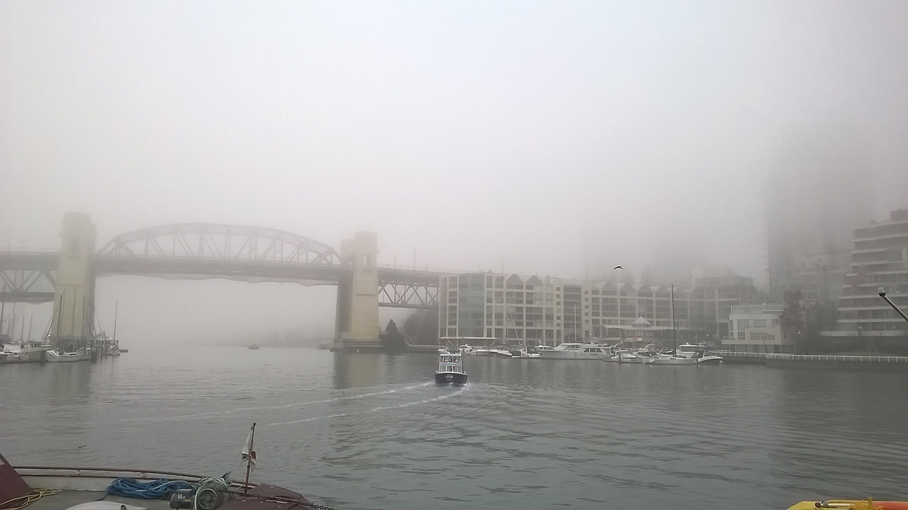 뭐가 보이나 2.jpg