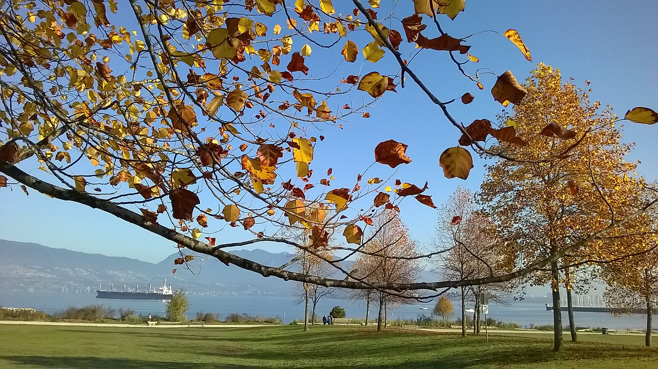 버리고 떠나는 사람 2.jpg