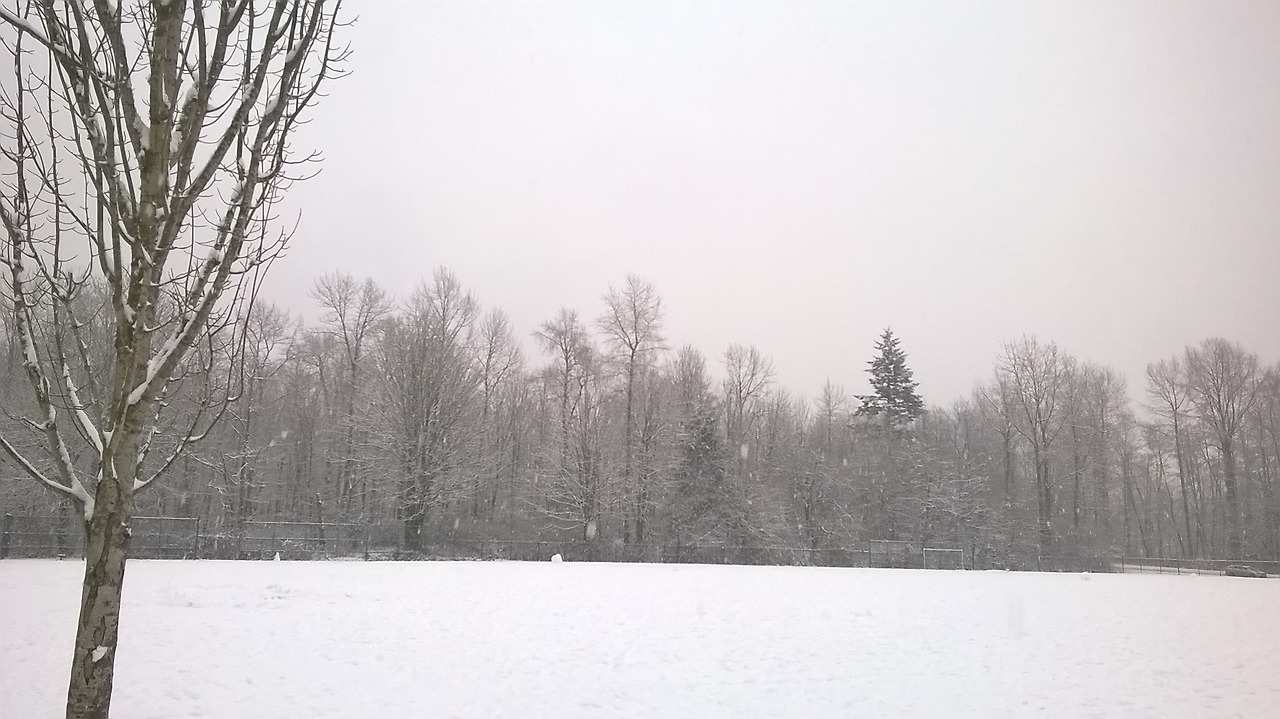 왜 난 안될까요 1.jpg